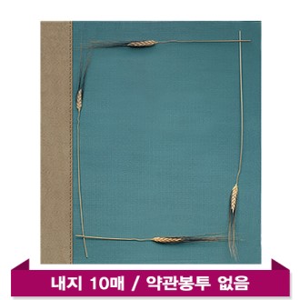 ��� ����(10P) -�ε��� ���� ���δ�