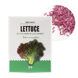 �̴� ������ ���� ����- ����