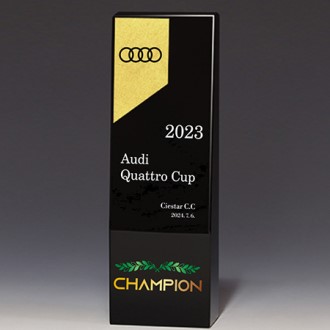 ������ ���� ���� Ʈ���� S8A024-12